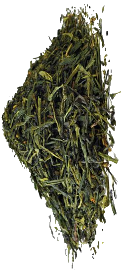 Organic Sherpa Premium
Green Tea